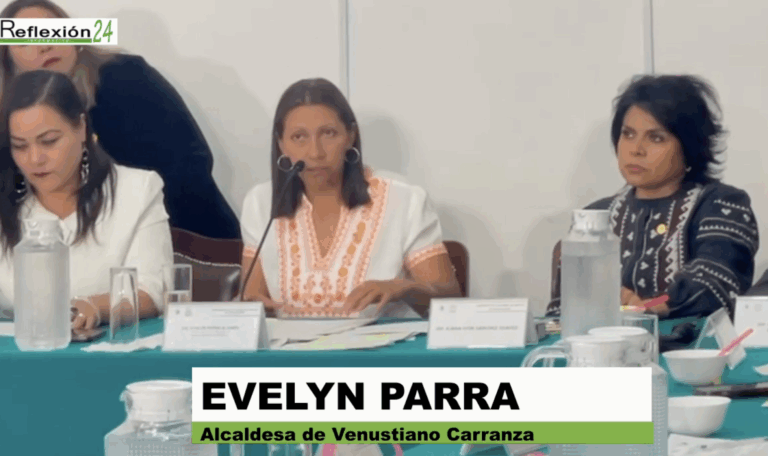 📽️ Venustiano Carranza no se detiene, enfrentamos los retos con firmeza, calle y resultados: Evelyn Parra